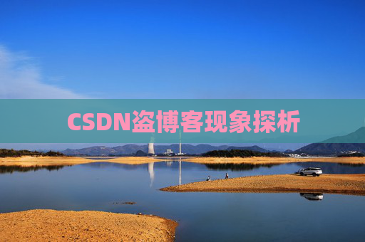 CSDN盗博客现象探析